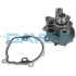 Водяний насос NISSAN/OPEL/RENAULT Primastar/Movano/Vivaro/Master \'\'2,2-2,5D "00>> ="" Dayco DAYCO DP279 (фото 1)