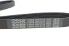 Комплект ременя генератора Citroen Jumpy/Fiat Scudo/Peugeot Expert 2.0HDi 04- (6PK1215) DAYCO KPV179 (фото 7)