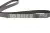 Комплект ременя генератора Fiat Punto 1.3D 03-12/Panda 04-/Ford KA 1.3TDCi 08-16 DAYCO KPV276 (фото 2)