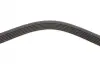 Комплект ременя генератора Fiat Punto 1.3D 03-12/Panda 04-/Ford KA 1.3TDCi 08-16 DAYCO KPV276 (фото 3)