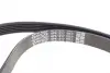 Комплект ременя генератора Opel Astra 09-14/Corsa 1.3 CDTI 06-14 DAYCO KPV292 (фото 3)
