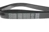 Комплект ремня генератора Citroen Jumpy/Fiat Ducato/Peugeot Boxer 2.2HDi 06- (6PK1670) DAYCO KPV338 (фото 4)