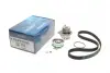 Комплект ГРМ + помпа Audi A3/A4/Skoda Octavia/VW Caddy III/Golf IV/V/Passat/Touran 1.6 95- (23x138z) DAYCO KTBWP2530
