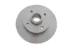 Диск гальмівний SEAT/VW Toledo/Corrado/Golf/Jetta/Passat "R D=226mm "89-02 ="" Delphi BG2389 (фото 1)