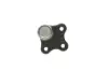 Кульова опора ALFAROMEO/CITROEN/FIAT/OPEL/PEUGEOT Mito/Punto/Fiesta/Corsa D/Bipper "F "08>> ="" Delphi TC1807 (фото 3)