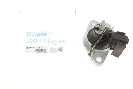 Подушка двигуна (R) Renault Kangoo 1.5dCi 01- Delphi TEM008