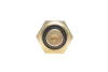 Датчик температури охолоджуючої рідини Chevrolet Lacetti/Daewoo Lanos 1.3-2.4 97- DELPHI Delphi TS10469 (фото 4)