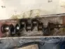Вал коленчатый СМД 18,22 <ДК> Dk-Дорожная Карта 20-04с9 (фото 1)