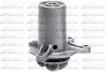 Помпа MB/PUCH (STEYR) MB100/300GD &quot;2,4-3,0 &quot;77-97 =&quot;&quot; DOLZ M188 (фото 1)