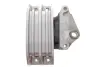 Подушка двигателя (L) Ford Transit FWD 00- DP DP Group B 4426 ONK (фото 5)