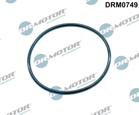 Прокладка двигуна гумова DR.MOTOR DRM0749 (фото 1)
