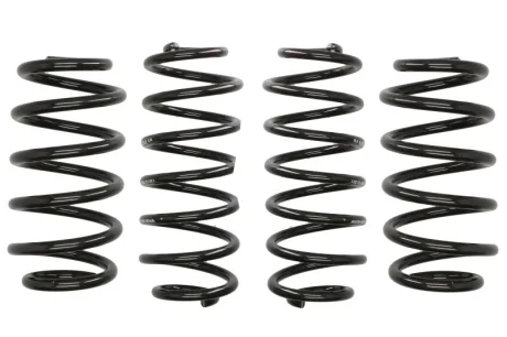 Комплект пружин (Pro-Kit) Audi A4 (B8) 1.8TFSI/2.0TDI/TFSI 07-15 (4 шт.) EIBACH E10-15-011-01-22