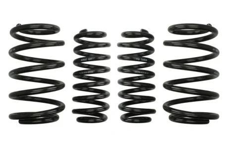 Занижуючі пружини, Pro-Kit, 4шт, (30мм / 30мм) (1250кг / 1630кг) BMW X5 (E53) 3.0D 04.01-09.06 E10-20-009-02-22 EIBACH E10200090222