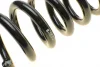 Пружина (задня) MB E-class (W211) 1.8-3.5/2.2-3.2CDI (OM646/OM642/M272/M112) 02-08 EIBACH R10014 (фото 5)