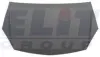 Капот ELIT 5052280EC (фото 1)