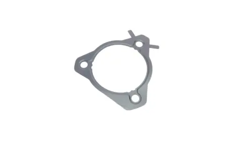 Прокладка насосу паливного Ford Connect 1.8Di/TDCI 02- ELRING 028.211