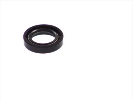 Ущільнююче кільце 037.524 ELRING 037524