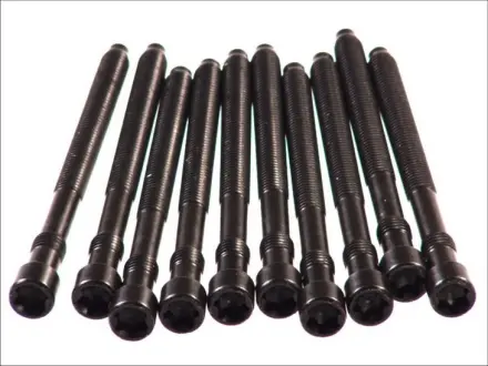 Болти ГБЦ комплект 10 шт. на VW Passat 2.0i 01-05 ELRING 057410