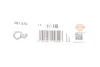 Прокладка водяний насос OPEL 2,0/2,2 A20NFT/Z22SE (вир-во Elring) ELRING 061.670 (фото 2)