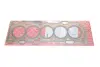 Прокладка ГБЦ Volvo C30/C70/S40/S60/V70/XC60/XC70/XC90 05-17 (1 метка) (1.02mm) ELRING 131.172 (фото 1)