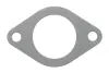 Прокладка труби вихлопної Citroen Berlingo/Jumper/Fiat Ducato 1.9D 96-06 ELRING 226.506 (фото 1)