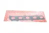 Прокладка впускний колектор FORD 2.5 ST 20V HYDA/HYDB/HYDC 04-13 ELRING 302.570 (фото 1)