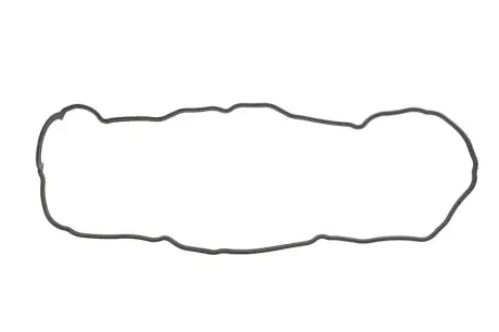 Прокладка кришки клапанів Lexus RX 3.0/3.3 99-08/Toyota Sienna 3.0 97-02 (R) ELRING 440.050