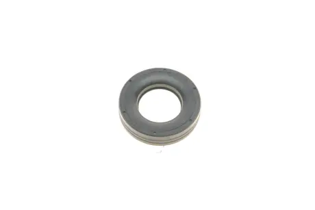 Кільце ущільнювальне свічкового колодязя Mini (R50/R52/R53) 01-08 ELRING 485.920
