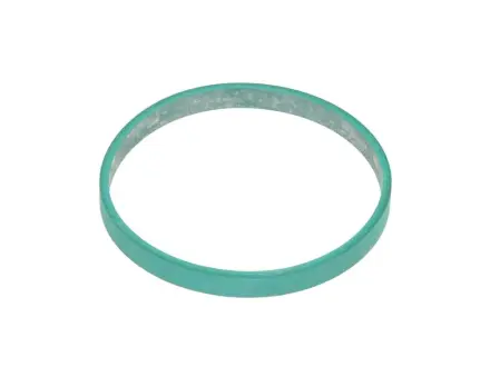 Прокладка корпуса колектора впускного BMW 1 (E81)/3 (E90)/X1 (E84) 2.0D/3.0D 03- ELRING 529.970