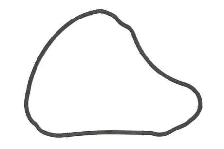 Прокладка передньої кришки двигуна BMW N63B44 (5-8 цил) \'\'10>> ="" ELRING 648850