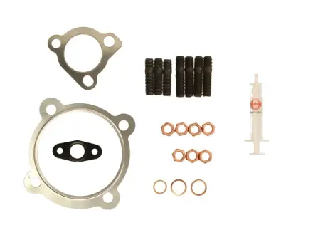 Комплект прокладок турбіни VW Golf IV 1.8 T 97-06 ELRING 717.951