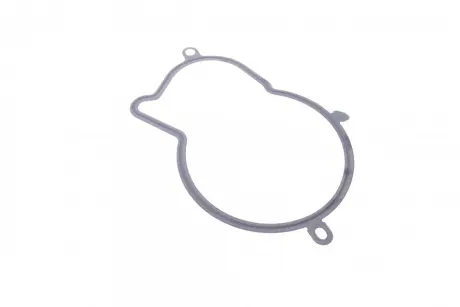 Прокладка паливного насосу CITROEN/FORD/PEUGEOT \'\'2.0HDI \'\'13>> ="" ELRING 793.480