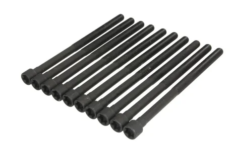 Набір болтів ГБЦ BMW 1 (F20), 1 (F21), 2 (F22, F87), 2 (F23), 2 (G42, G87), 3 (F30, F80), 3 (F31), 3 (G20, G80, G28), 3 (G21), 3 (G21, G81), 3 GRAN TURISMO (F34), 4 (F32, F82) 2.0/2.0H 07.15- EL794470 ELRING 794470