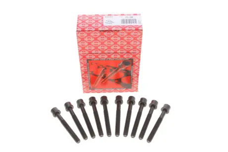 Болти головки (к-кт 10шт.) Audi 100/A4/VW Polo/Golf 1.3-2.0 90- (96mm) ELRING 819.817