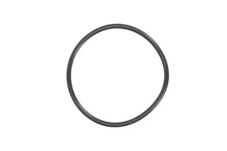 Прокладка насосу вакуумного Volvo C30/C70/S40/S80/Fiat Scudo 2.0D 99- ELRING 880.100