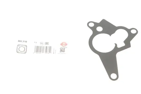 Прокладка насосу вакуумного Renault Trafic 2.0dCi 06- ELRING 891.710