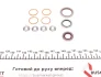 Повний комплект прокладок двигуна CITROEN BERLINGO, BERLINGO/MINIVAN, C15, C15/MINIVAN, JUMPY I, XSARA, XSARA/HATCHBACK, XSARA/KOMBI FIAT SCUDO PEUGEOT 206, 306, 306/HATCHBACK 1.9D 06.96-12.15 EL ELRING 896710 (фото 15)