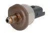 Датчик давления топлива DACIA DOKKER, DOKKER/MINIVAN, DUSTER, DUSTER/SUV, LODGY NISSAN JUKE, QASHQAI II RENAULT CAPTUR I, CLIO IV, GRAND SCENIC III, KANGOO EXPRESS, KANGOO II, MEGANE III 1.2 03.12- ENGITECH ENT260031 (фото 1)