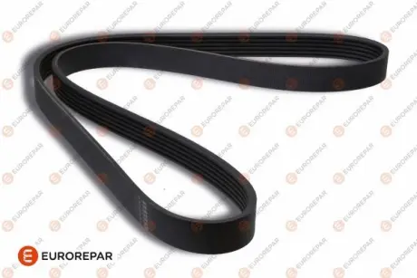 Пас навісного обладнання 6PK1613 EUROREPAR 1631638780