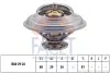 Термостат Renault Trafic/ VW Golf 2.1-2.3 D/TD/i 80- (82 C) (7.8250S) FACET 78250S (фото 1)