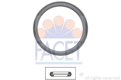 Кільце ущільнювача термостата Ford Tourneo connect 1.8 16v (02-13) (7.9598) FACET 79598