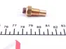 Датчик температури охолоджуючої рідини FAE31570 FAE 31570 (фото 2)