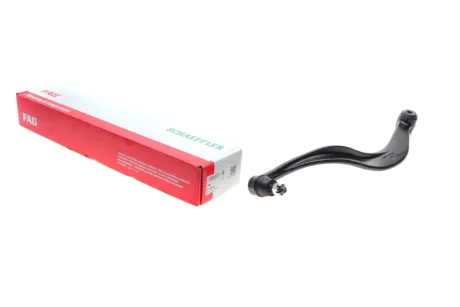 Важіль підвіски (задній/знизу) (R) Hyundai Santa Fe 01-06 FAG 821 0095 10