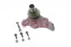 Опора кульова (передня/знизу/R) Opel Omega A 1.8-3.6 86-94 FAG 825 0124 10 (фото 6)