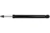 Акция Амортизатор задній газ FIAT Grande Punto 05-10; OPEL Corsa D 06-15; CHEVROLET Aveo T300 12-17; ALFA ROMEO MiTo 08-18 FAST FT11292 (фото 1)