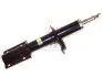 Акция Амортизатор газ-масло FIAT Ducato 02-06, Ducato 94-02; PEUGEOT Boxer 02-06, Boxer 94-02; CITROEN Jumper 02-06, Jumper 94-02 FAST FT11305 (фото 1)