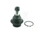 Кульова опора нижня FORD Transit 06-14, Transit 00-06, Connect 02-13, Transit 14-, Transit Custom 12- FAST FT17101 (фото 1)