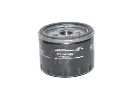 Фільтр масляний 1.6MPI 16V, 2.0MPI 16V, 1.8MPI 16V Fiat Doblo 00-09, Fiat Punto 03-10, Alfa Romeo 156 97-07 FAST FT38042
