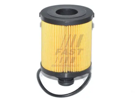 Акция Фільтр масляний 1.3CDTI 16V, 1.3MJET 16V, 1.3TDCI 16V Fiat Doblo 09-23, Opel Astra H 04-14, Opel Combo C 01-11 FAST FT38068