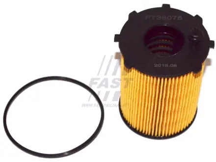 Фільтр масляний 1.6HDI 16V, 1.6HDI 8V, 1.4HDI 8V, 1.4HDI 16V Fiat Scudo 07-16, Peugeot Partner 96-08, Citroen Berlingo 08-18 FAST FT38075